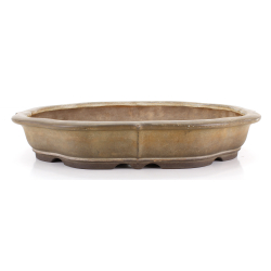 Bonsai pot JTA8676 SUISHOUEN HEKISUI