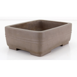 Bonsai pot JTA8602 SHOUZAN KANESHOU MASAMI view 2