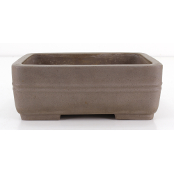 Bonsai pot JTA8602 SHOUZAN KANESHOU MASAMI