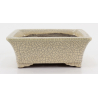 Bonsai pot JTA8679 TERAHATA SATOMI