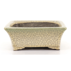 Bonsai pot JTA8680 TERAHATA SATOMI