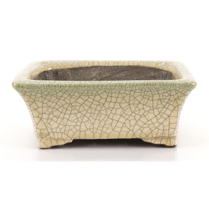 Bonsai pot JTA8680 TERAHATA SATOMI