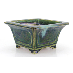 Bonsai pot JTA8647 TERAHATA SATOMI