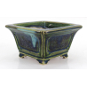 Bonsai pot JTA8646 TERAHATA SATOMI