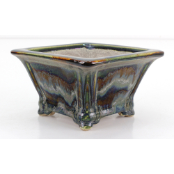 Bonsai pot JTA8645 TERAHATA SATOMI
