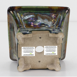 Bonsai pot JTA8645 TERAHATA SATOMI view 3
