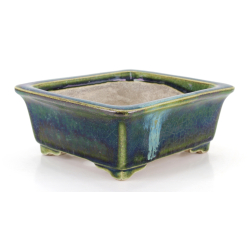 Bonsai pot JTA8651 TERAHATA SATOMI view 2