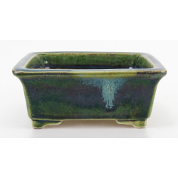 Bonsai pot JTA8651 TERAHATA SATOMI