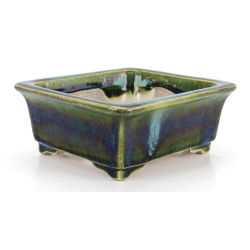 Bonsai pot JTA8650 TERAHATA SATOMI view 2