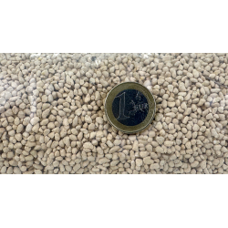Kanuma grano pequeño -shohin- 16 l vista 2