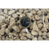 Kiryu -Kiryuzuna- big grain size 15 l view 2