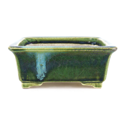 Bonsai pot JTA8649 TERAHATA SATOMI