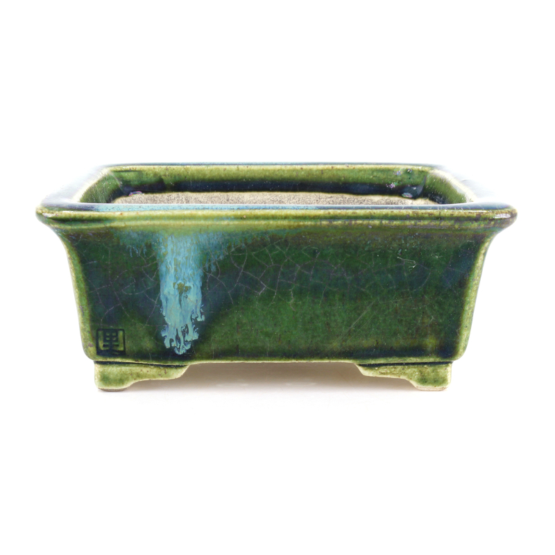 Bonsai pot JTA8649 TERAHATA SATOMI