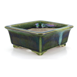 Bonsai pot JTA8649 TERAHATA SATOMI view 2
