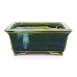 Bonsai pot JTA8648 TERAHATA SATOMI