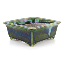 Bonsai pot JTA8648 TERAHATA SATOMI view 2