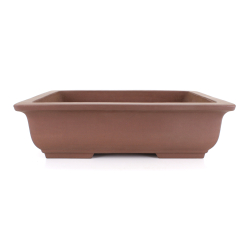 Bonsai pot JTA8625 MORISHITA