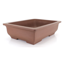 Bonsai pot JTA8625 MORISHITA view 2