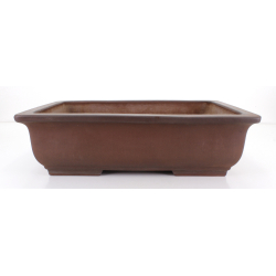 Bonsai pot JTA8626 MORISHITA