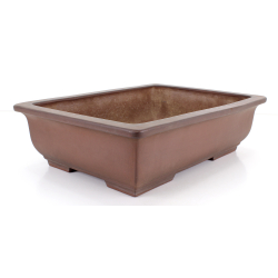 Bonsai pot JTA8626 MORISHITA view 2