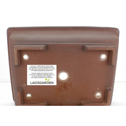 Bonsai pot JTA8626 MORISHITA view 3