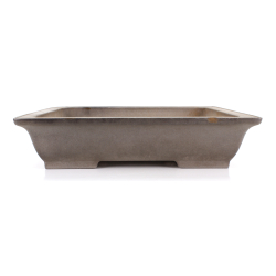 Bonsai pot JTA8620 KISEN