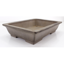 Bonsai pot JTA8620 KISEN view 2
