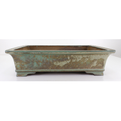 Bonsai pot JTA8666 KOYO KOUICHIROU