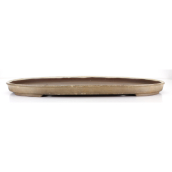 Bonsai pot JTA8667 HARUMATSU RYOKUMISAI