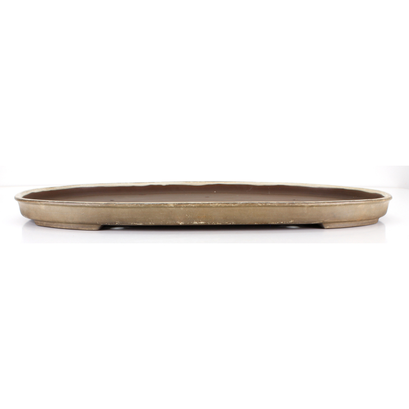 Bonsai pot JTA8667 HARUMATSU RYOKUMISAI