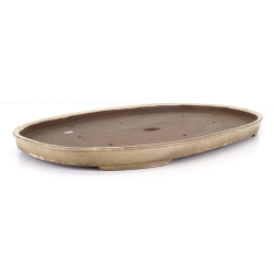 Bonsai pot JTA8667 HARUMATSU RYOKUMISAI view 2