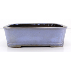 Bonsai pot JTA8670 KOYO KOUICHIROU