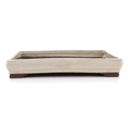 Bonsai pot JTA8669 TOSUI MASAO