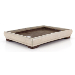 Bonsai pot JTA8669 TOSUI MASAO view 2
