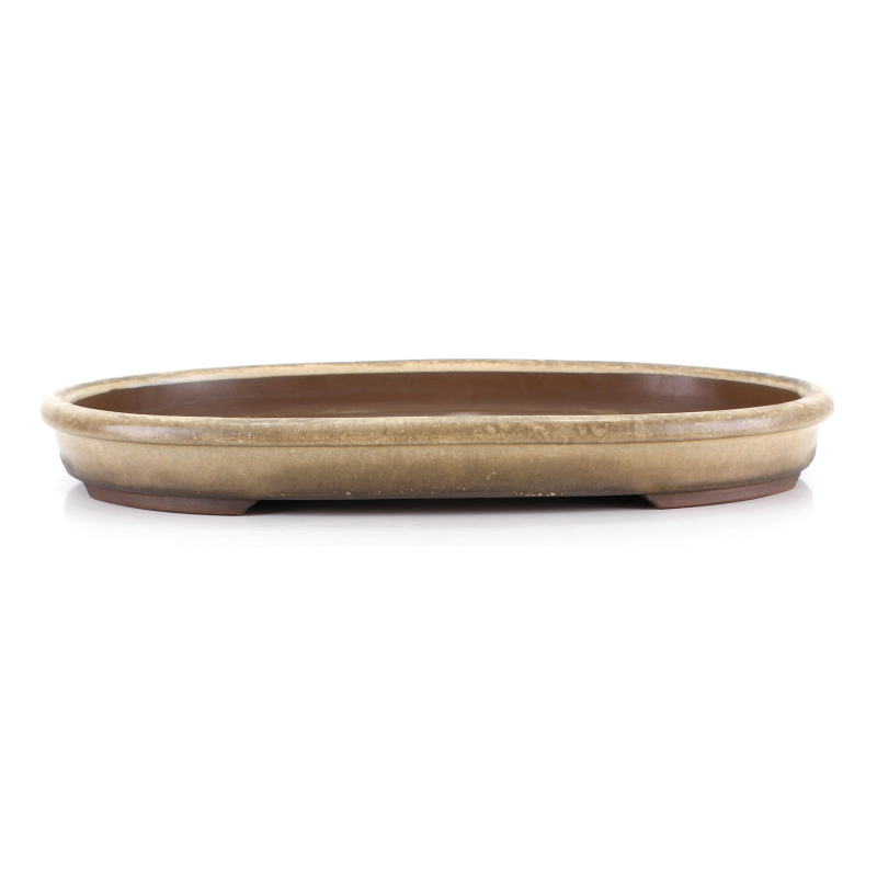 Maceta bonsái JTA8674 HARUMATSU MIZUNO Maceta bonsái JTA8674 HARUMATSU MIZUNO