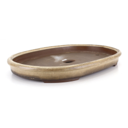 Bonsai pot JTA8674 HARUMATSU MIZUNO view 2