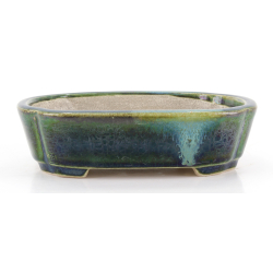 Bonsai pot JTA8636 TERAHATA SATOMI