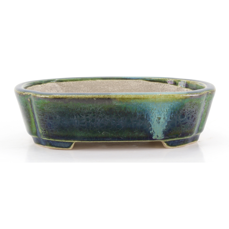 Bonsai pot JTA8636 TERAHATA SATOMI