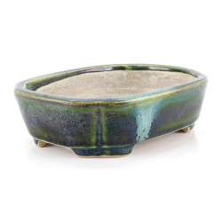 Bonsai pot JTA8636 TERAHATA SATOMI view 2