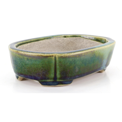 Bonsai pot JTA8637B TERAHATA SATOMI view 2
