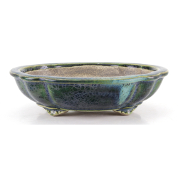 Bonsai pot JTA8653 TERAHATA SATOMI