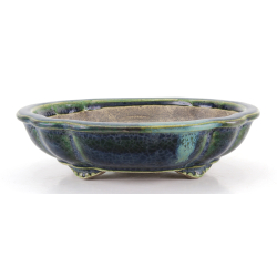 Bonsai pot JTA8652 TERAHATA SATOMI