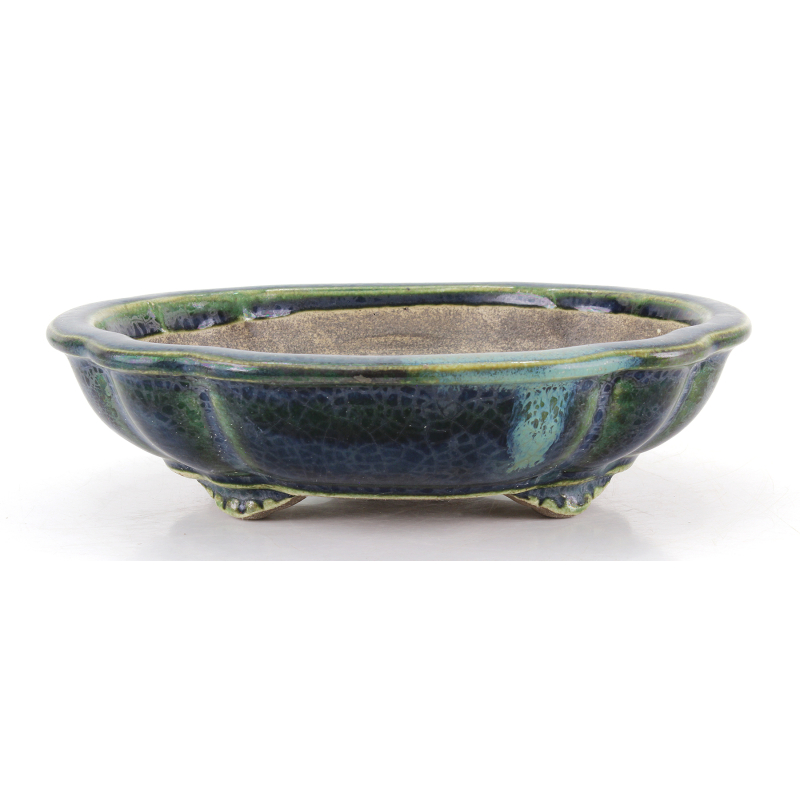 Bonsai pot JTA8652 TERAHATA SATOMI