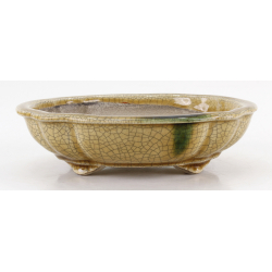 Bonsai pot JTA8639 TERAHATA SATOMI