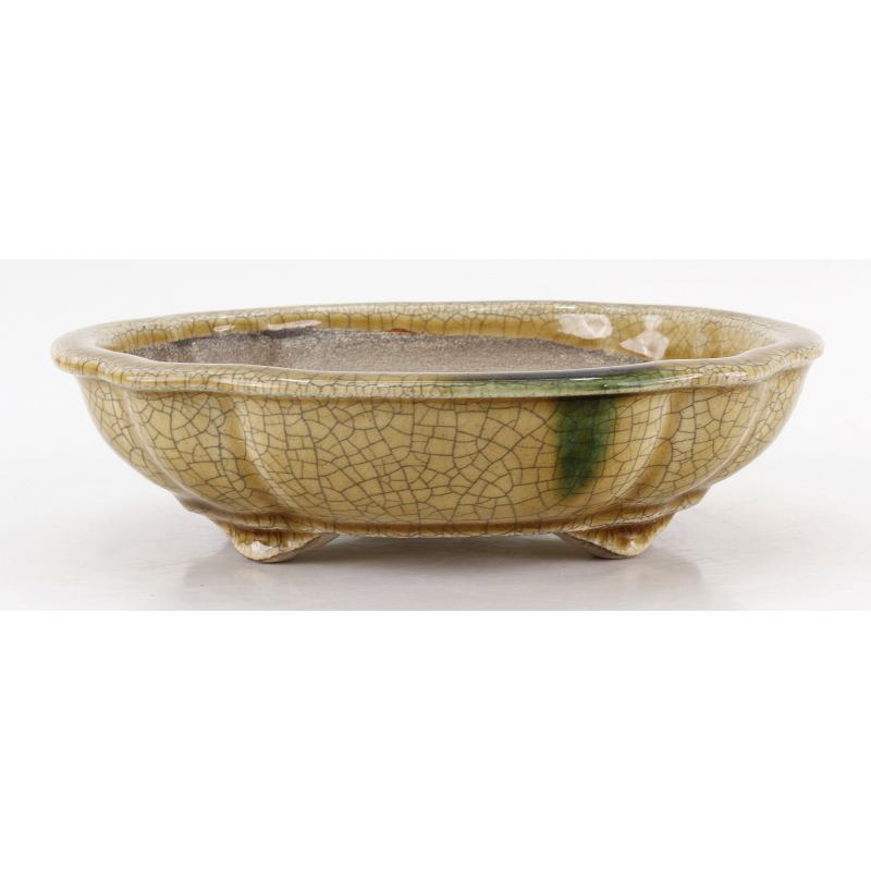 Bonsai pot JTA8639 TERAHATA SATOMI