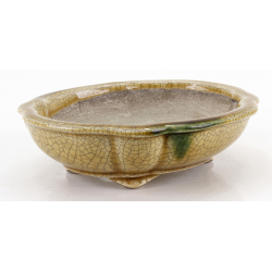 Bonsai pot JTA8639 TERAHATA SATOMI view 2