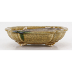 Bonsai pot JTA8638 TERAHATA SATOMI