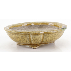 Bonsai pot JTA8638 TERAHATA SATOMI view 2