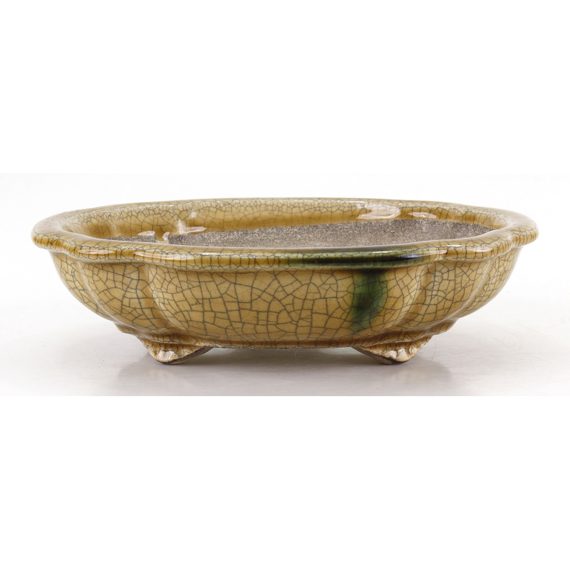 Bonsai pot JTA8637 TERAHATA SATOMI