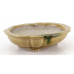 Bonsai pot JTA8637 TERAHATA SATOMI view 2